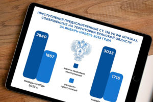 Киберкражи в Брянской области составляют 13% от общего количества краж — прокуратура