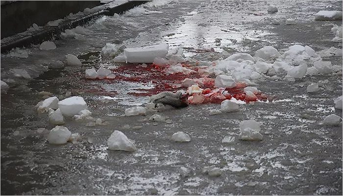 Глыба льда упала на голову пожилому прохожему в центре Брянска. Мужчина в больнице