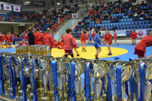 Турнир памяти спортсменов, погибших в СВО, собрал в Брянске более 200 юных самбистов из трёх областей