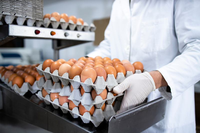 Минсельхоз РФ ожидает скорого снижения цен на яйца в торговых сетях
