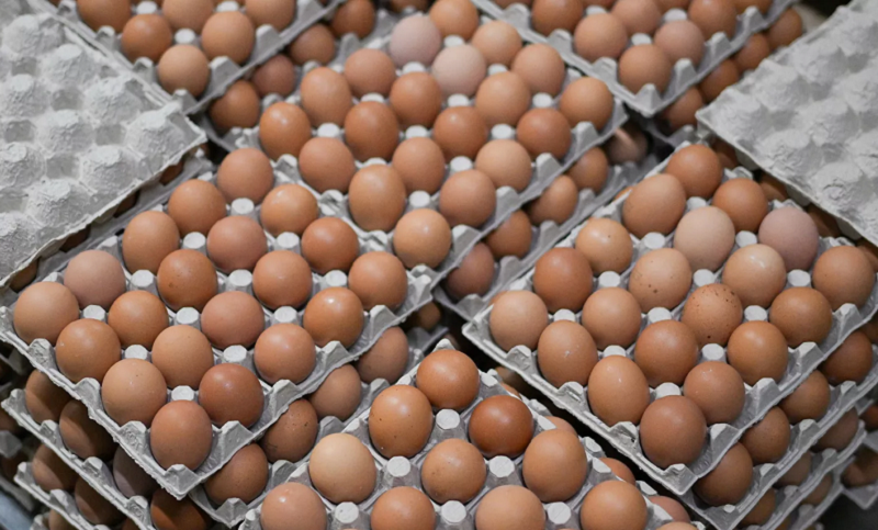 Потребление пищевых яиц в России составляет от 0,8 до трёх штук в день