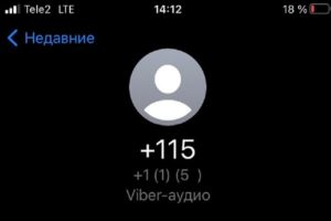 Мошенники «от Госуслуг»: жителей Брянска «разводят» с коротких номеров в Viber