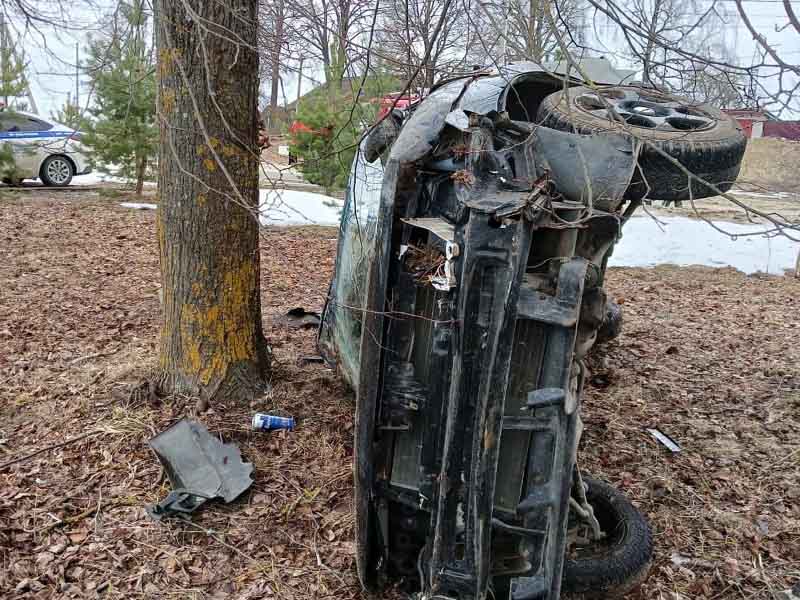 В Любохне легковушка улетела в дерево, водитель не выжил