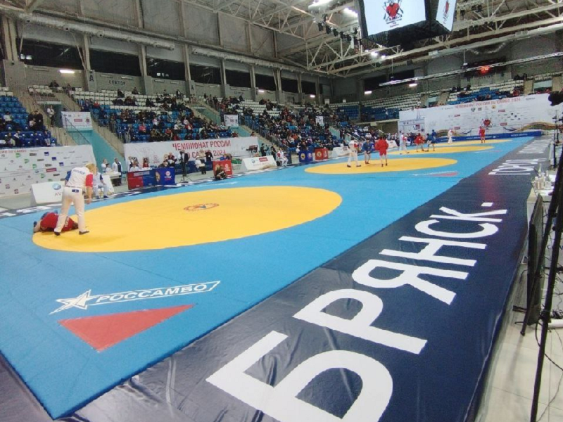 Брянскую область на домашнем чемпионате страны по самбо представят 25 спортсменов