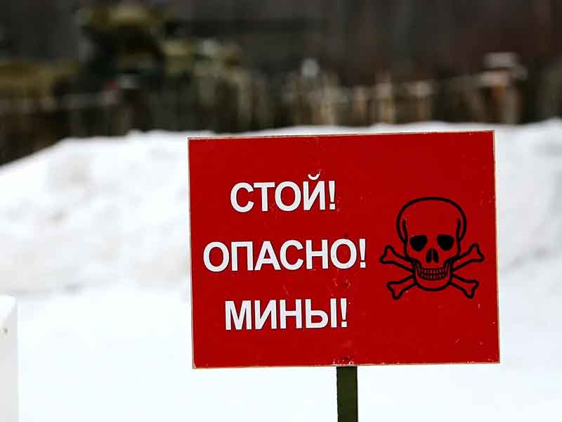 Мирный житель подорвался на мине в приграничной зоне Брянской области — губернатор