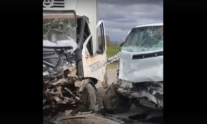 Смерть в ДТП: в столкновении двух фургонов на брянской дороге погибла женщина-водитель