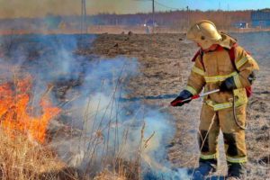 Пожароопасный сезон в Брянской области официально объявлен с 1 апреля и до осенних дождей