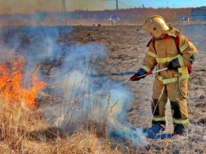 Пожароопасный сезон в Брянской области официально объявлен с 1 апреля и до осенних дождей