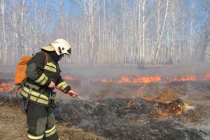 Пожароопасный сезон в брянских лесах начнётся с 5 апреля