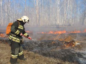 Пожароопасный сезон в брянских лесах начнётся с 5 апреля