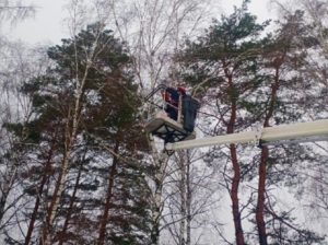 Специалисты филиала «Брянскэнерго» расчищают охранные зоны ЛЭП