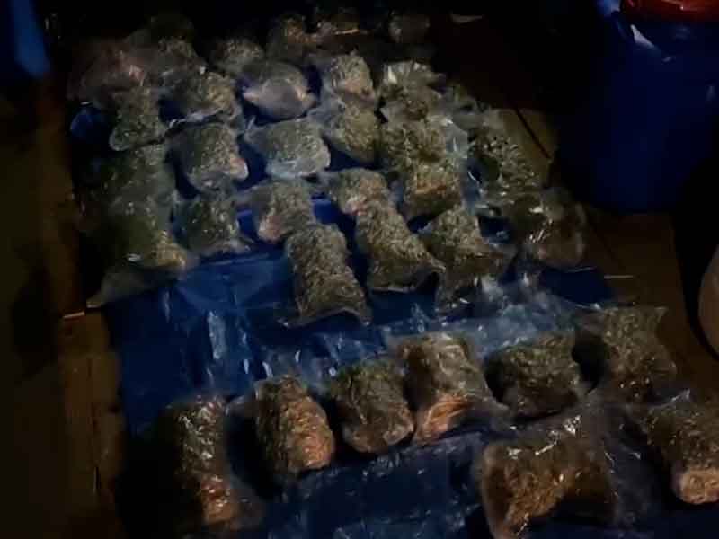 У трубчевского дилера нашли 15 кг готовой к сбыту марихуаны