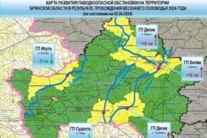 Паводок-2024: в Брянской области подтопило более 260 участков и семь жилых домов