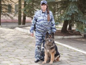 Служебная овчарка нашла в частном доме в Брянске тайник с оружием и боеприпасами