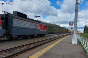 Железнодорожники подготовят в Брянской области к лету около 200 станций и остановочных пунктов