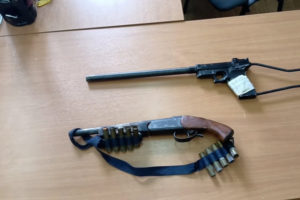 Брянские полицейские отчитались о десятках изъятых стволов гражданского оружия