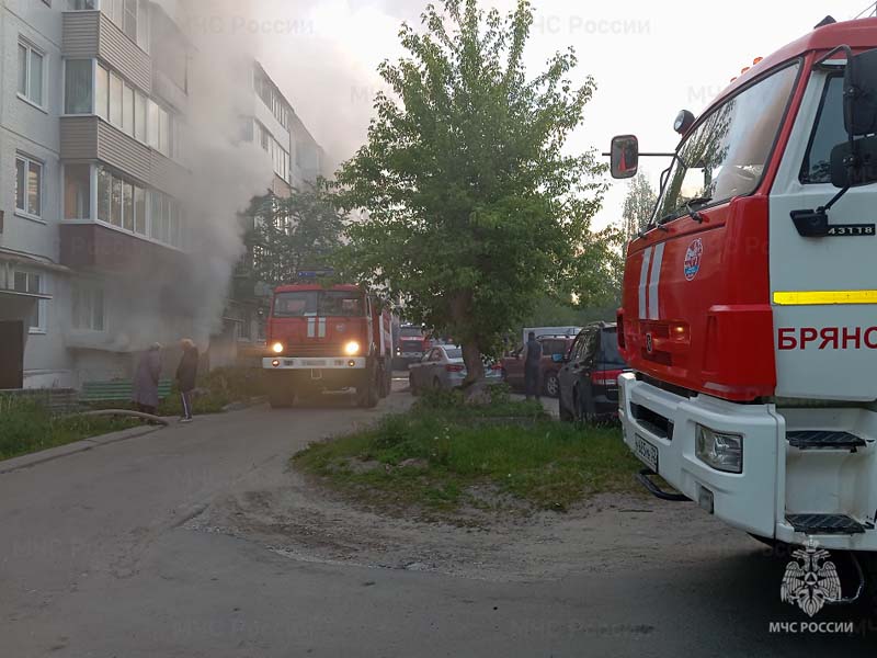 Из-за пожара в подвале многоэтажки в Сельцо пришлось эвакуировать 60 человек