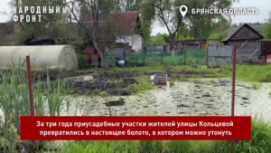 Уничтожение «исторических» ливнёвок в частном секторе Брянска превращает огороды в болото. А жители жалуются Путину