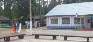 Лагеря отдыха «Огонёк» и «Орлёнок» под Брянском допущены комиссией к приёму детей