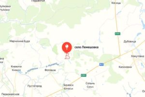 ВСУ обстреляли брянское село Лемешовка, повреждены дома и автомобили