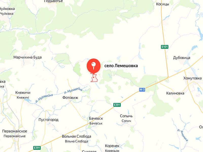 ВСУ обстреляли брянское село Лемешовка, повреждены дома и автомобили