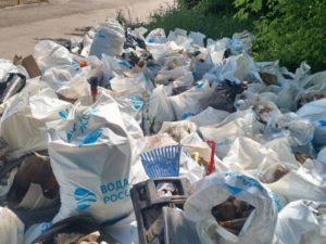 Брянские волонтеры вместе с департаментом природных ресурсов вычистили центральный пляж в Бежице
