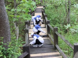 В заповеднике «Брянский лес» прошли первые в этом году волонтёрские выходные