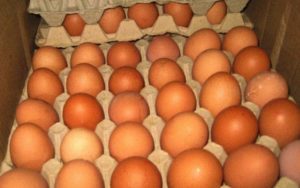 На границе в Брянской области «развернули» 5,4 тыс. белорусских яиц без документов