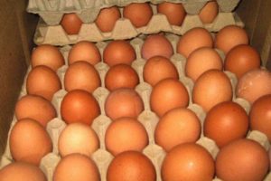 На границе в Брянской области «развернули» 5,4 тыс. белорусских яиц без документов