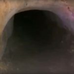 Брянский житель устроил на участке подземную плантацию по выращиванию конопли