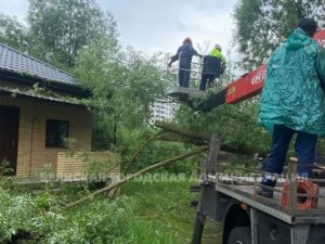 Упавшие деревья, «поплывшие» дороги: в Брянске устраняют последствия вчерашнего разгула стихии