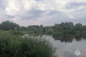 Трагедия в пригороде Брянска: три человека утонули, переходя Десну вброд