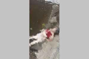 Брянские водолазы-спасатели подняли из реки тело погибшей женщины в Сураже