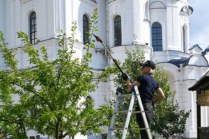 Московские архитекторы деревьев облагородили сады Свенского монастыря