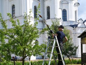 Московские архитекторы деревьев облагородили сады Свенского монастыря