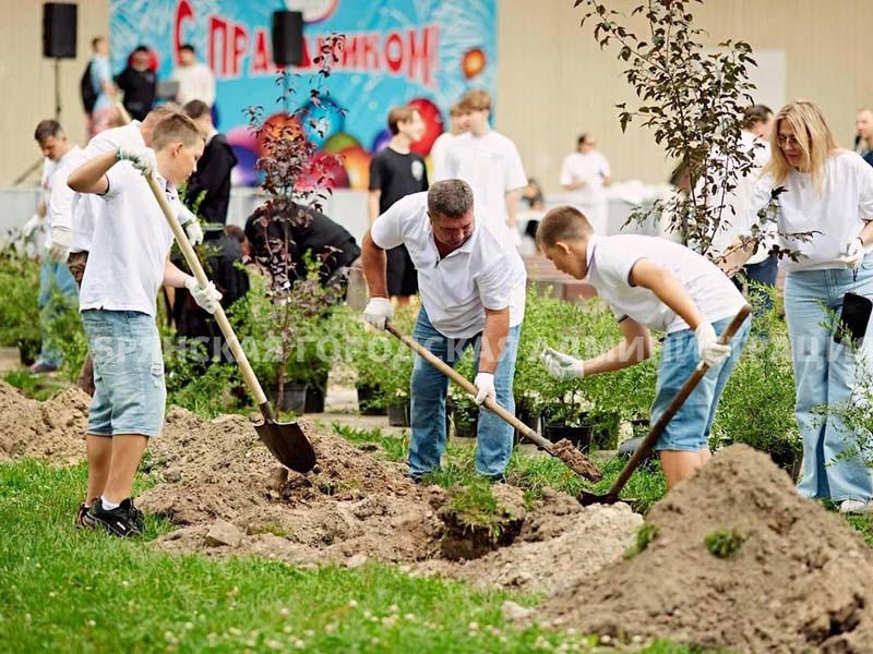 Брянские предприниматели высадили в Майском парке «компенсационные» деревья и кустарники