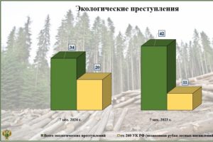 Ущерб от экологических преступлений в Брянской области с начала года превысил 20 млн. рублей