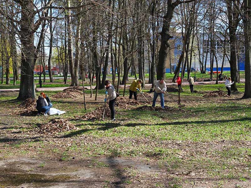 В Брянске объявлен «предпраздничный» месячник по благоустройству — вплоть до 17 сентября