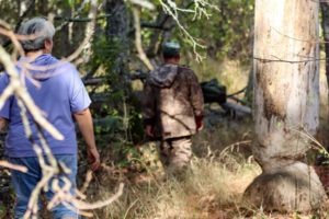 Заповедник «Брянский лес» поделился «творчеством» местных бобров