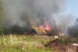 Ландшафтный пожар в Брянской области: огонь уничтожил часть приграничной погарской деревни