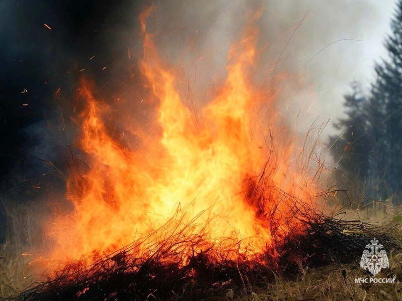 Класс пожарной опасности в Брянской области вырос до максимальных значений — МЧС