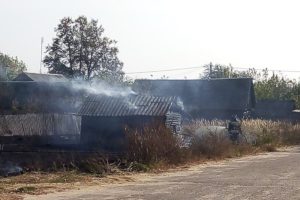 Ландшафтный пожар под Новозыбковом добрался до окраинных домов села Внуковичи