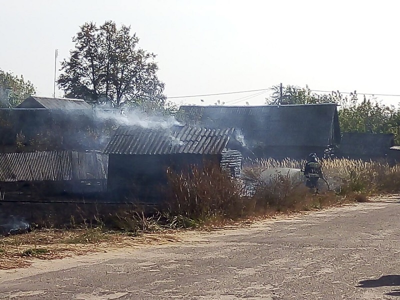 Ландшафтный пожар под Новозыбковом добрался до окраинных домов села Внуковичи