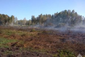 В Погарском районе горят торфяники