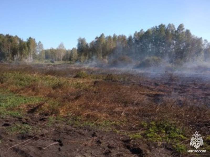 В Погарском районе горят торфяники