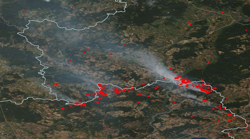 Ландшафтный пожар в Брянской области: огонь уничтожил часть приграничной погарской деревни