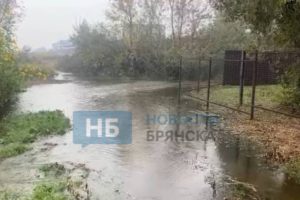 ЧП в Брянске: в поселке Чайковичи на озере Мельница прорвало дамбу