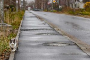 В Брянске завершается капремонт улицы Дятьковской: лужи исчезли, мусор пока остался