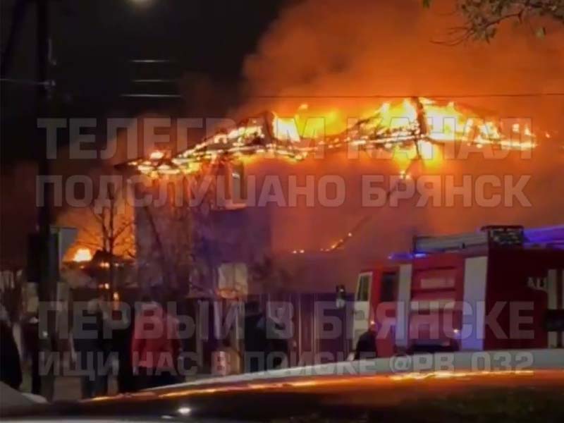 Мужчина и двое детей 2 и 11 лет погибли в страшном пожаре в Брянске