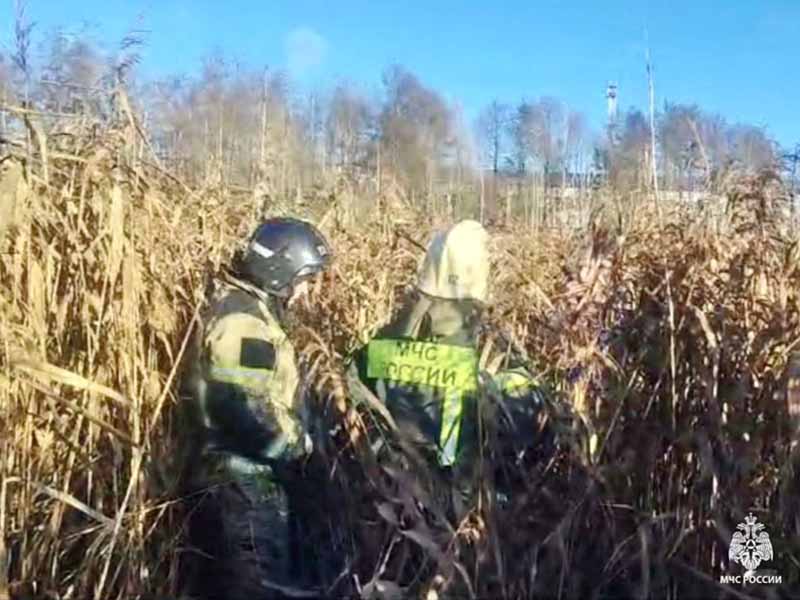 Брянские спасатели помогли застрявшей в болоте женщине